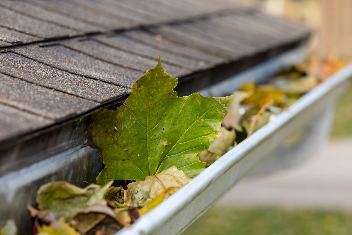 iStock_1189383491.7